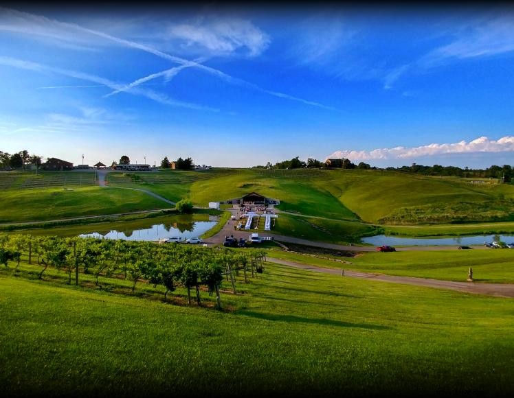 Elk Creek Vineyards – Award‑Winning Wines & B&B in Kentucky s Golden Triangle