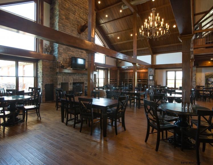 Elk Creek Vineyards – Award‑Winning Wines & B&B in Kentucky s Golden Triangle