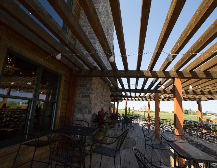 Elk Creek Vineyards – Award‑Winning Wines & B&B in Kentucky s Golden Triangle