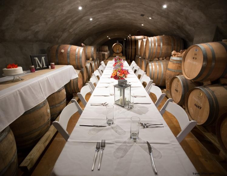 Elk Creek Vineyards – Award‑Winning Wines & B&B in Kentucky s Golden Triangle