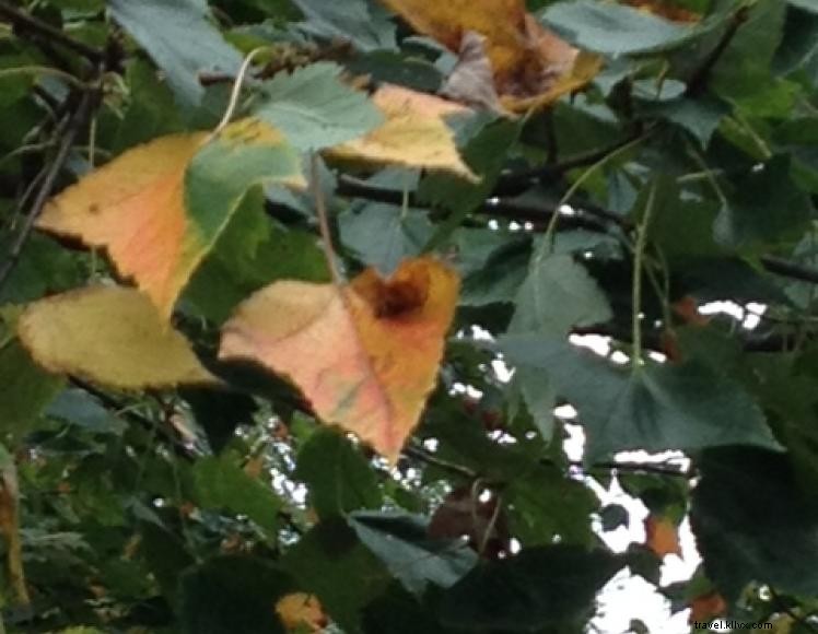 Eighth Pole Inn – Historic Boutique Hotel in Lexington, KY