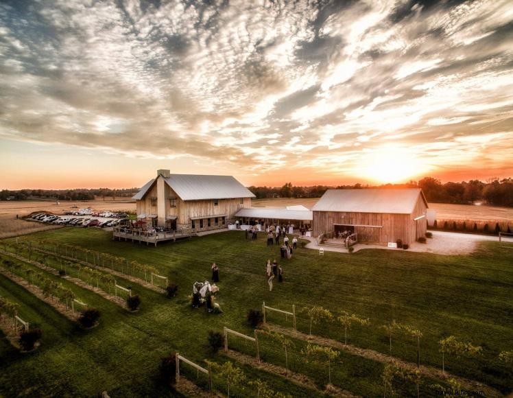 Farmer & Frenchman Winery & Café – Henderson County’s Boutique Vineyard & Event Destination