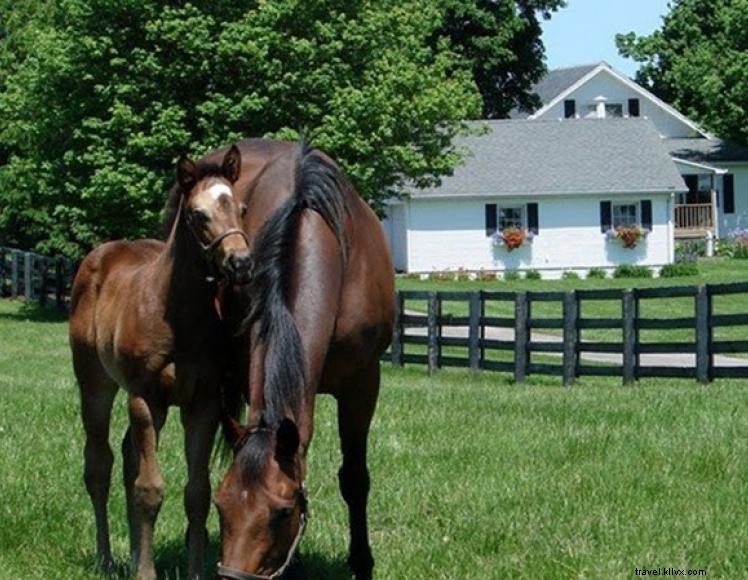 Rosecrest Farm Guesthouse – Authentic Kentucky Hospitality
