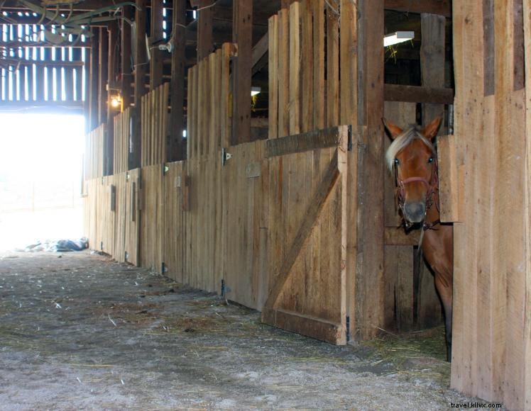 Green River Stables – Premier Horse & RV Campground