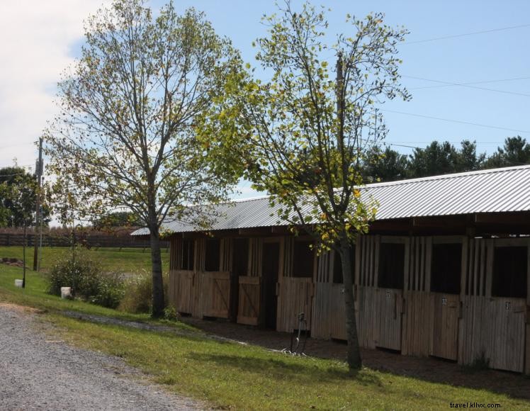 Green River Stables – Premier Horse & RV Campground