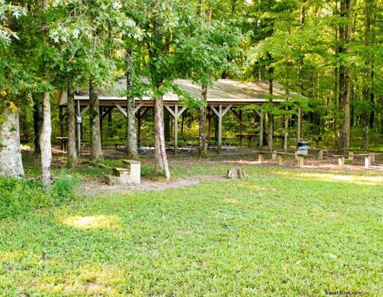 Explore Green River Lake State Park: Trails, Fishing, Camping & More