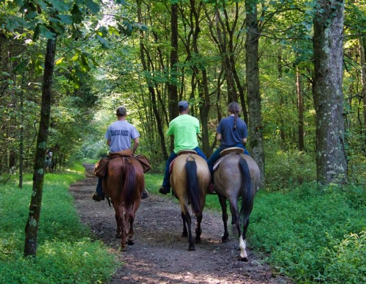 Explore Green River Lake State Park: Trails, Fishing, Camping & More
