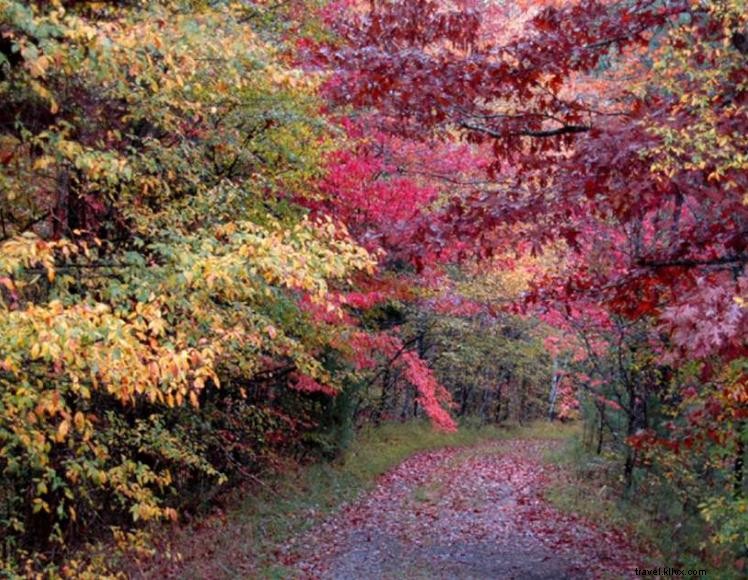 Explore Gatlin Point Backcountry: A Hidden Gem in Land Between the Lakes