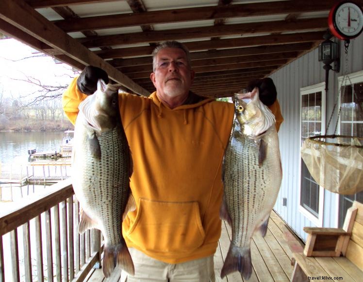 Explore Guist Creek Marina & Campground: Boating, Fishing & Camping in Shelbyville, KY