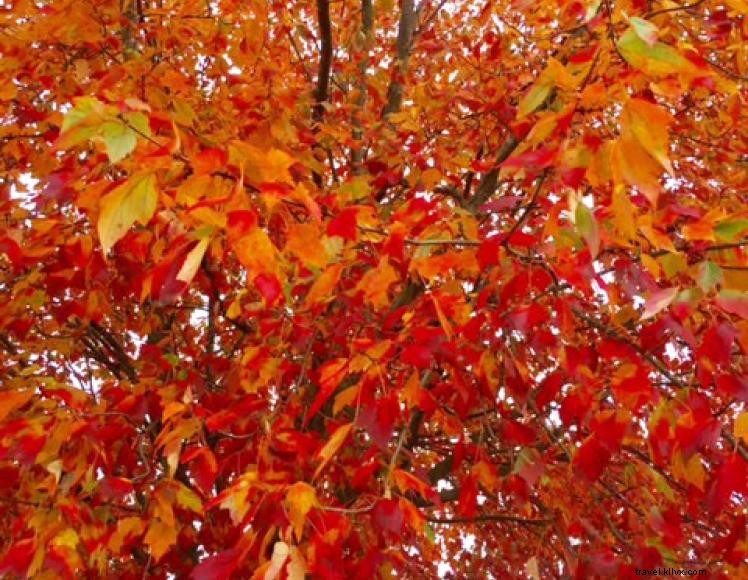 Holiday Inn Express Frankfort – Modern Comfort Near the Kentucky State Capitol