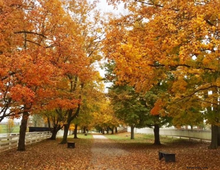 Holiday Inn Express Frankfort – Modern Comfort Near the Kentucky State Capitol