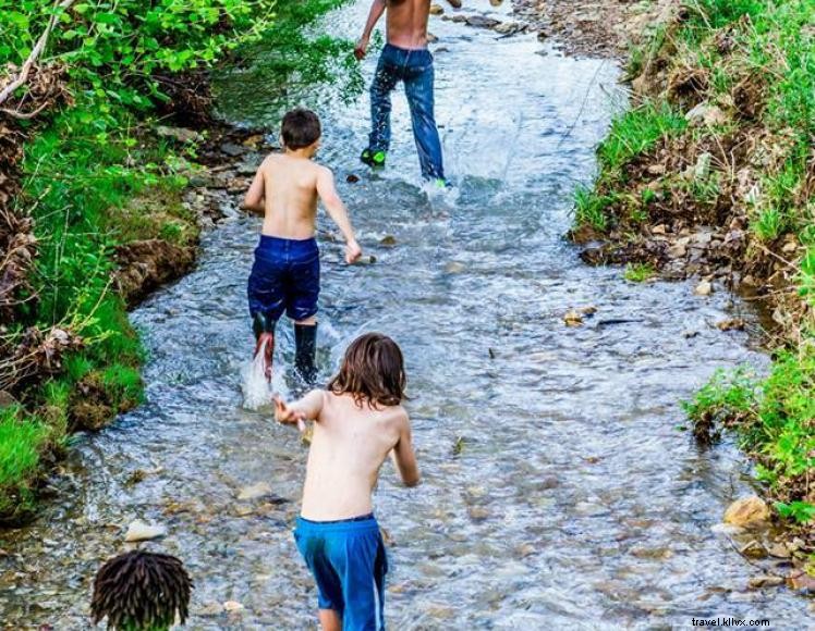 HomeGrown HideAways: 100‑acre Retreat with Treehouses, Yurts, and Rustic Campsites Near Berea