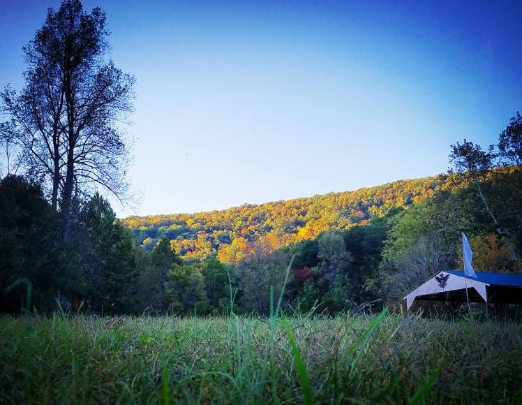 HomeGrown HideAways: 100‑acre Retreat with Treehouses, Yurts, and Rustic Campsites Near Berea
