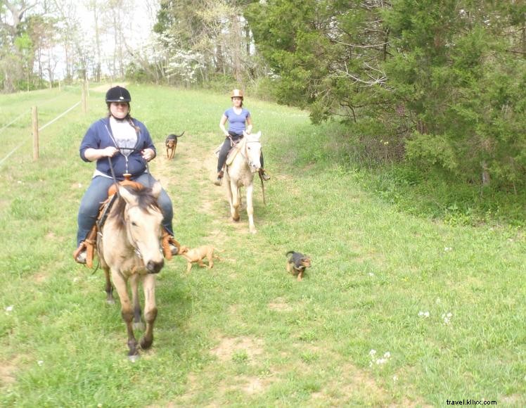 Hidden Cave Ranch B&B & Curly Horse Farm – Rustic Comfort & Family Events in Burkesville, KY