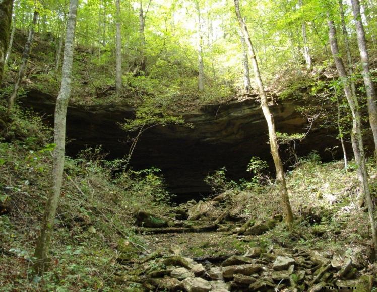 Hidden Cave Ranch B&B & Curly Horse Farm – Rustic Comfort & Family Events in Burkesville, KY