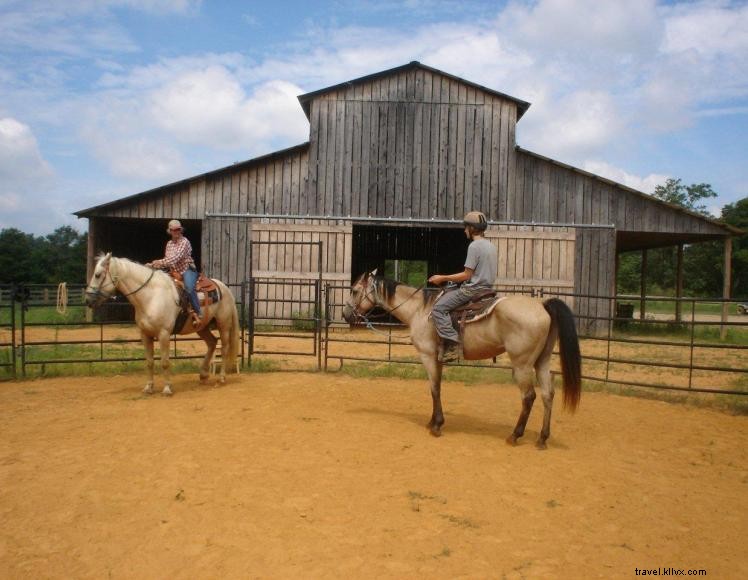 Hidden Cave Ranch B&B & Curly Horse Farm – Rustic Comfort & Family Events in Burkesville, KY