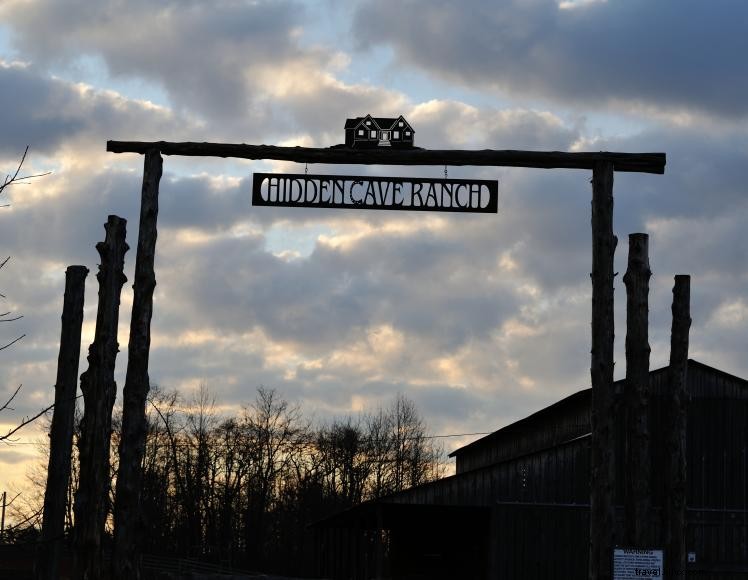 Hidden Cave Ranch B&B & Curly Horse Farm – Rustic Comfort & Family Events in Burkesville, KY