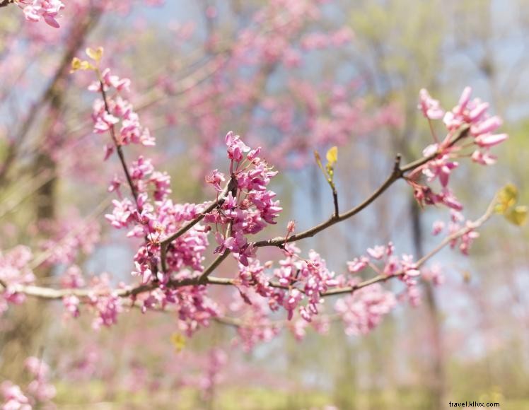 Happy Camper RV Park – Premium Lake Cumberland Camping Experience