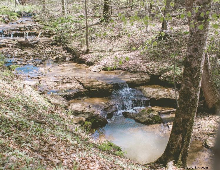 Happy Camper RV Park – Premium Lake Cumberland Camping Experience