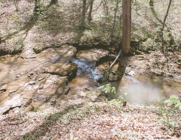 Happy Camper RV Park – Premium Lake Cumberland Camping Experience