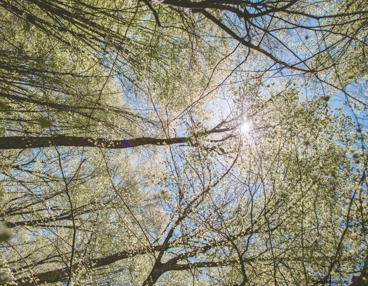 Happy Camper RV Park – Premium Lake Cumberland Camping Experience