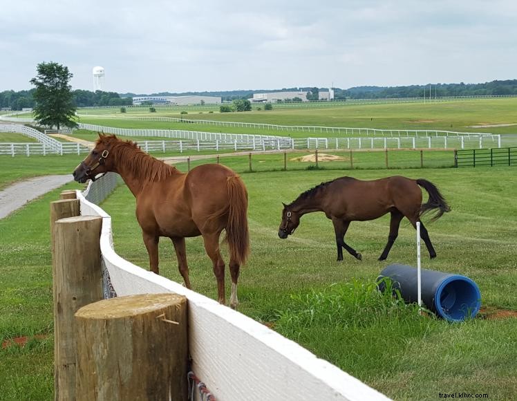 Hampton Inn Franklin – Comfortable Business & Family Stay with Pool & Breakfast