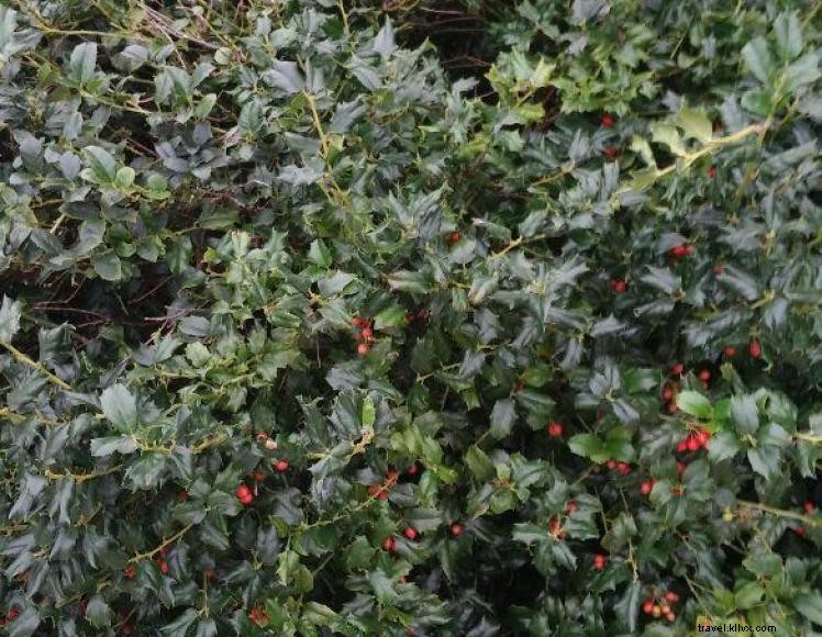 Hampton Inn North – Comfortable Stay in London, KY