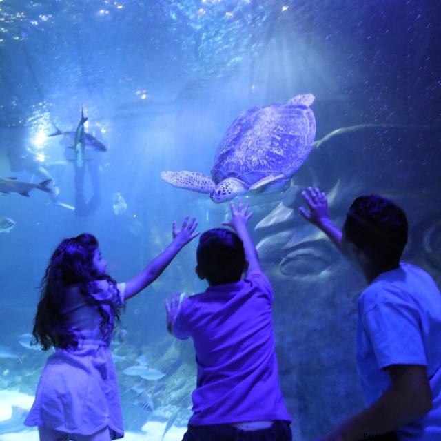 25 Affordable Orlando Adventures: $25 or Less for Every Budget