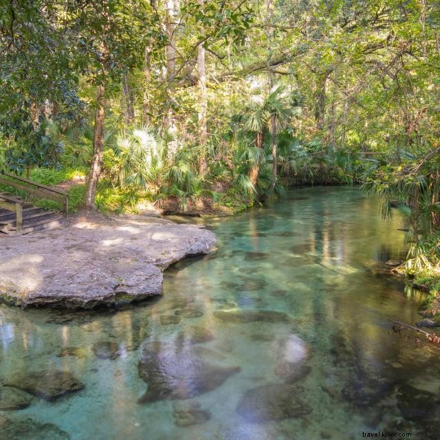 Explore Orlando’s Hidden Natural Springs – A Family Guide to Crystal‑Clear Waters