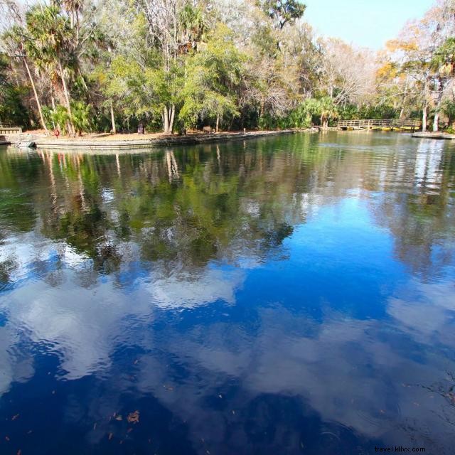 Explore Orlando’s Hidden Natural Springs – A Family Guide to Crystal‑Clear Waters