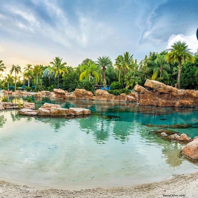 Elevate Your Virtual Meetings with Orlando‑Themed Zoom Backgrounds