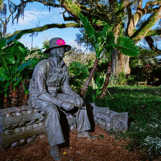 Elevate Your Virtual Meetings with Orlando‑Themed Zoom Backgrounds