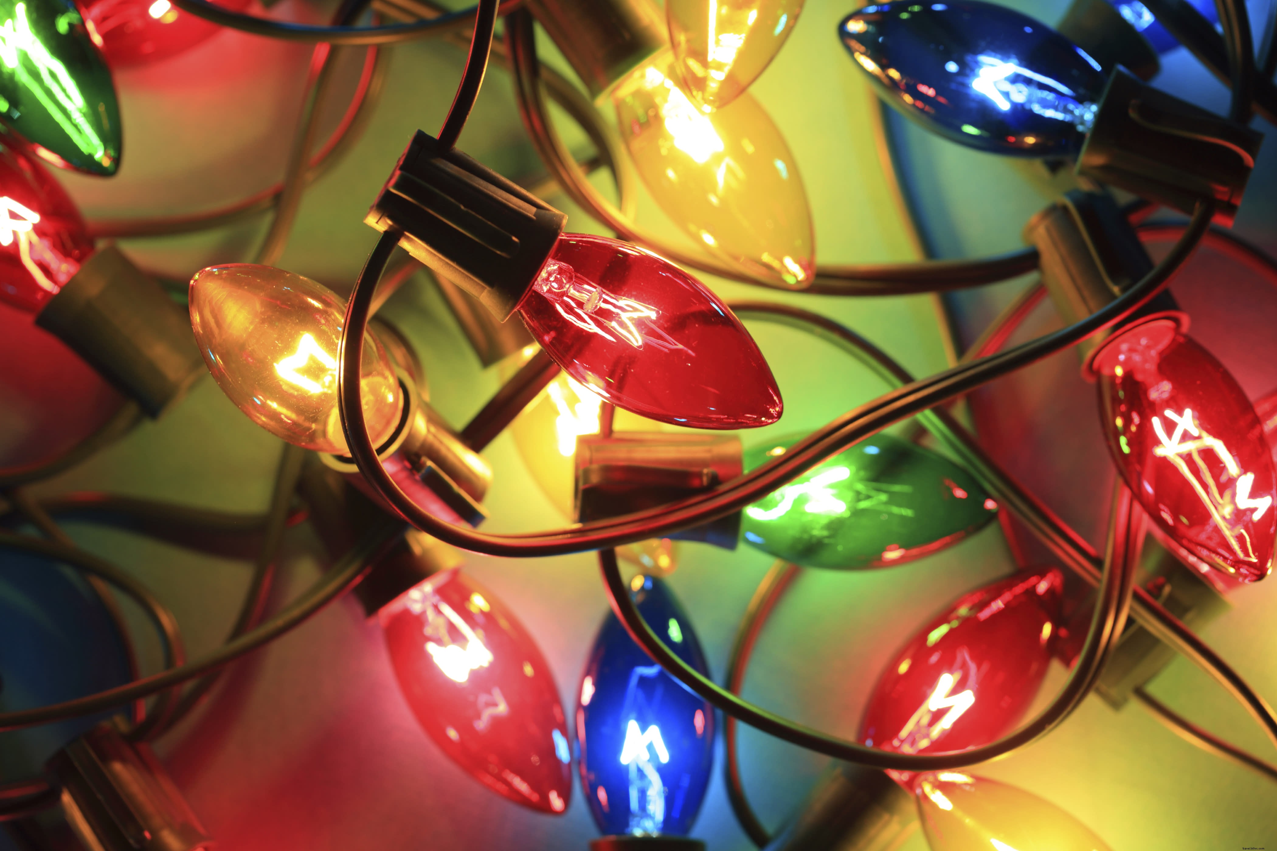 Orlando’s Must‑See January Events: Sports, Festivals, and Theme‑Park Highlights