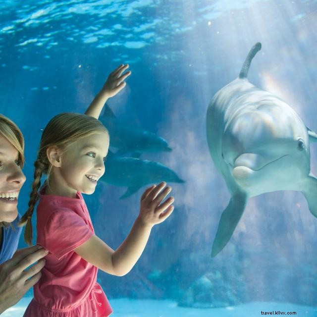 12 Uniquely Orlando Theme Park Experiences You Must Try