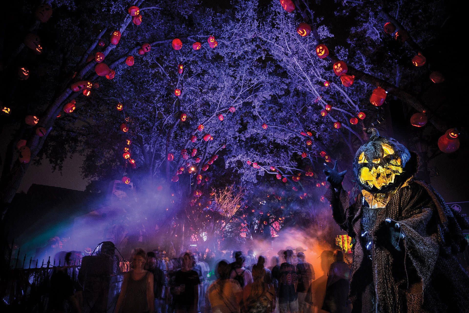 Top Orlando Events to Experience in October