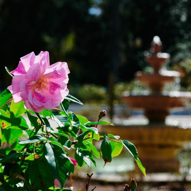 Top 9 Unforgettable Proposal Spots in Orlando – From Disney to Gardens