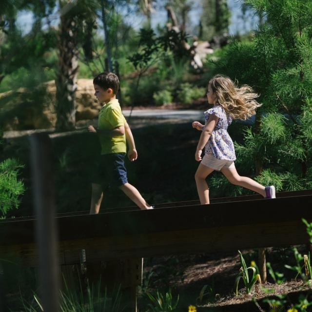 Explore Orlando’s Premier Zoos, Wildlife Ranches, and Gardens: A Natural Adventure