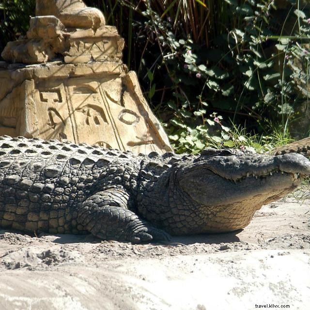 Explore 10 STEM‑Focused Attractions in Orlando – Family‑Friendly Learning Adventures