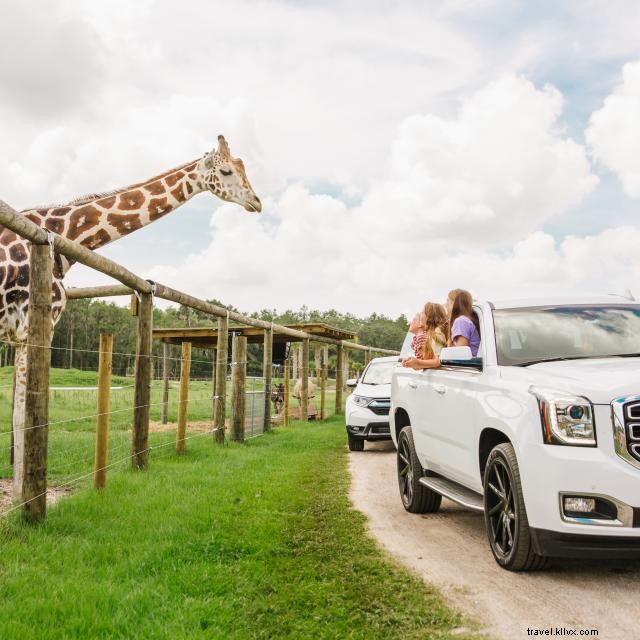 Explore 10 STEM‑Focused Attractions in Orlando – Family‑Friendly Learning Adventures