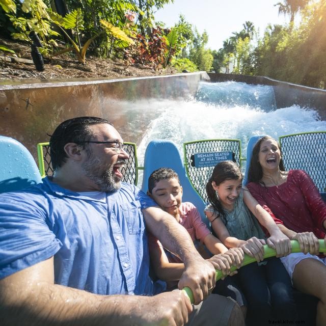 Beat the Heat: 10 Expert‑Backed Ways to Stay Cool in Orlando