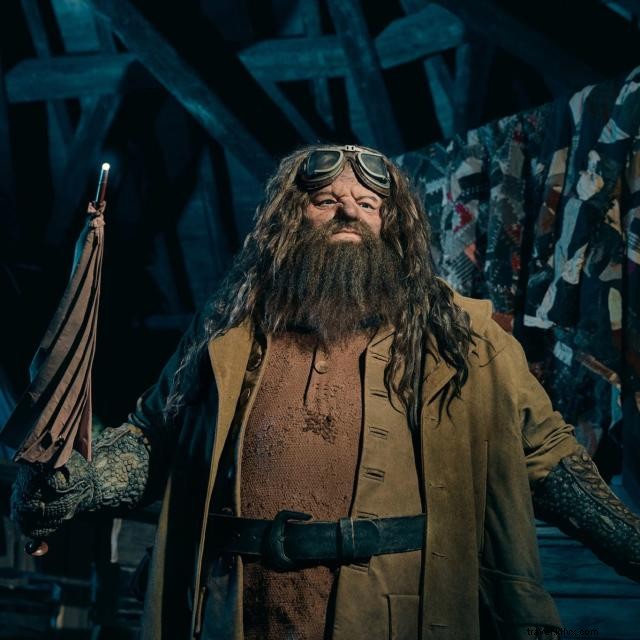 Discover Hagrid’s Magical Creatures Motorbike Adventure™ – The Ultimate Roller‑Coaster Experience at Universal Orlando