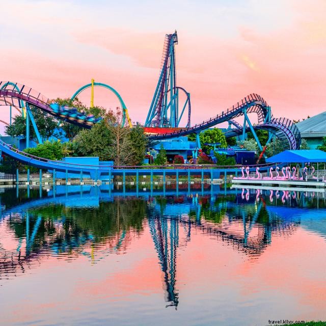 Soar Over Orlando: A Guide to the City’s Tallest Theme Park Attractions