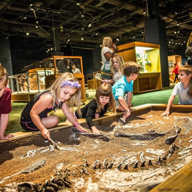 Top Toddler-Friendly Attractions in Orlando: A Family Guide