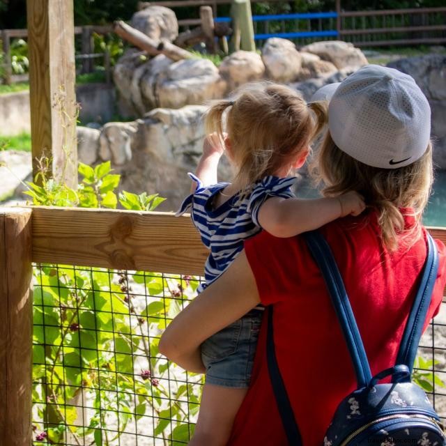 Top Toddler-Friendly Attractions in Orlando: A Family Guide