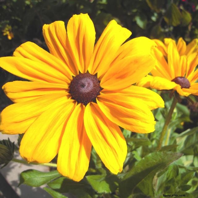 Top Toddler-Friendly Attractions in Orlando: A Family Guide