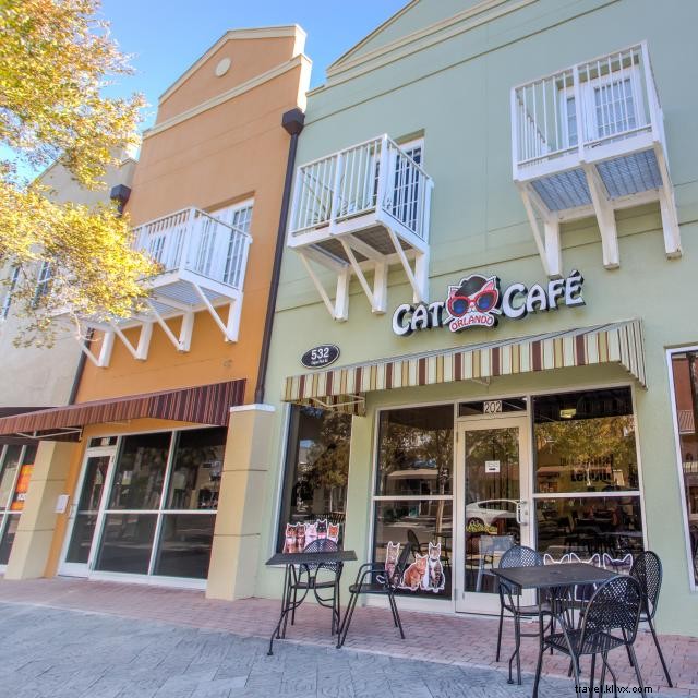 The 21 Best Coffee Shops in Orlando – From 24‑Hour Cafés to Cat‑Friendly Havens