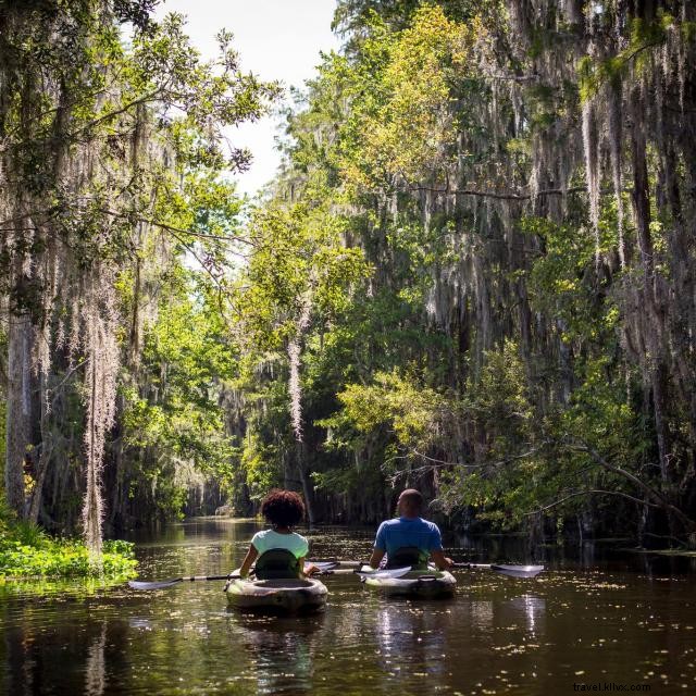 Discover Premier Hotels in Orlando: Luxury, Disney, Universal & SeaWorld Experiences