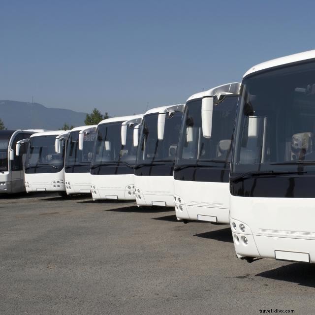 Save Money in Orlando Without Sacrificing Fun – Insider Tips from Miriam Porter