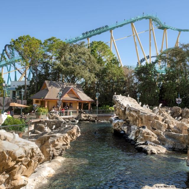 Manta vs. Kraken: SeaWorld Orlando’s Ultimate Roller Coaster Showdown