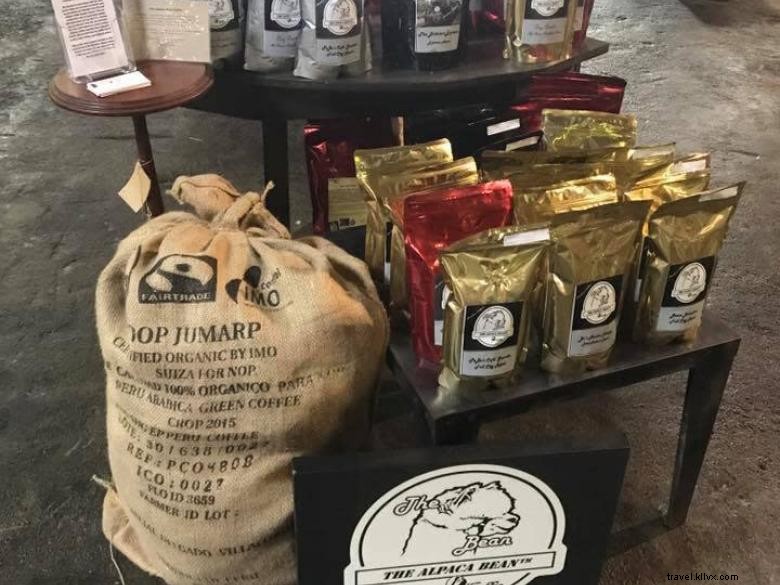 Explore the Northeast Georgia Mountains: Scenic Adventures, History, and Family Fun